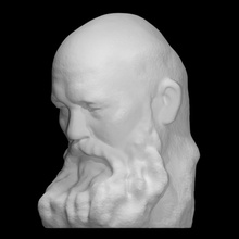 frans eemil sillanp analyse buste tête sculpture Littérature prix Nobel 3d print model - Mito3D
