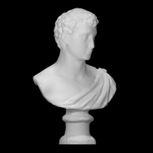 portrait young man scan printable bust david face head sculpture marble florence italy 3d print model - Mito3D
