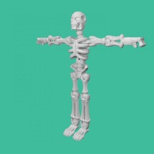esqueleto tinkercad 3d print model - Mito3D