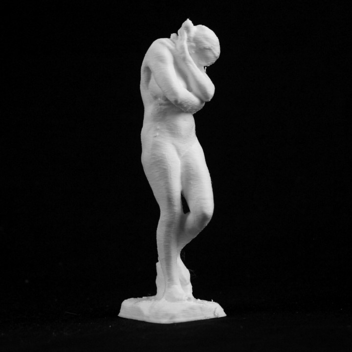 Havva Muş rodin paris tarama 3D print model - Mito3D