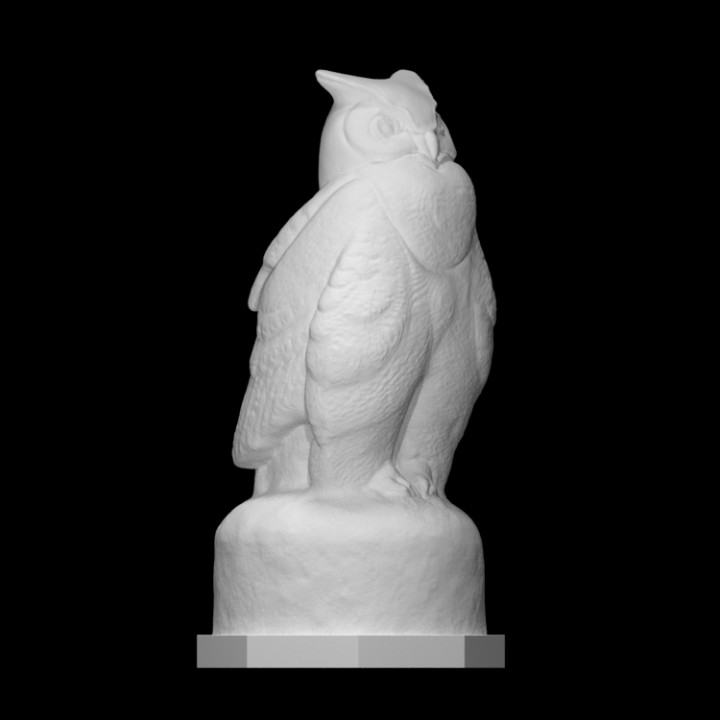 aquila gufo scansione animale uccello scultura legna 3D print model - Mito3D