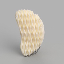 kidney lattice education engineering medical 3d print model - Mito3D