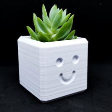 heureux planteur 3d imprimé jardin conception DIY cadeau pot vase cactus plantes décor idées succulent Hogar decoraci dise maceta macétale 3d print model - Mito3D