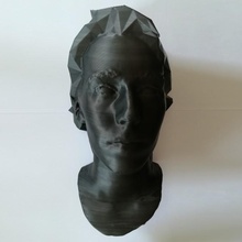 buste femme poly cheveux ventilateur art 3d visage femelle tête portrait lowpoly analyse 3d print model - Mito3D
