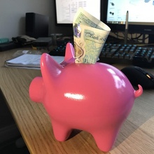 porky - piggy bank & garden animal pig bank money moneybox piggybank piggy savings