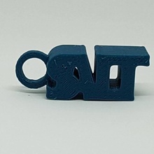 salt key chain fashion & accessories 3d print model - Mito3D