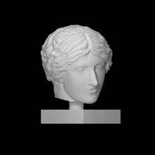 head wounded amazon scan rome sculpture woman marble 3d print model - Mito3D