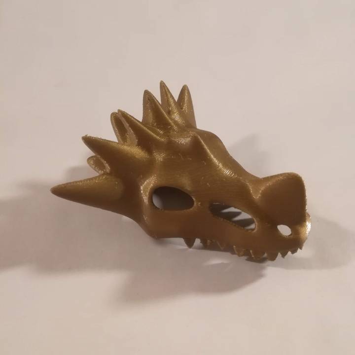 dragon skull toys & games 3D print model - Mito3D