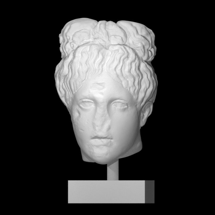 apollo scan face hair head portrait rome marble 3D print model - Mito3D