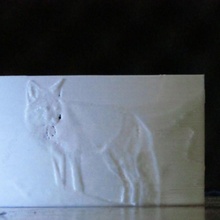 litofano zorro jardín animal fauna silvestre imagen 3d print model - Mito3D