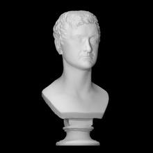karl von Seinsheim scansione fallimento viso testa uomo ritratto scultura thorvaldsen 3d print model - Mito3D