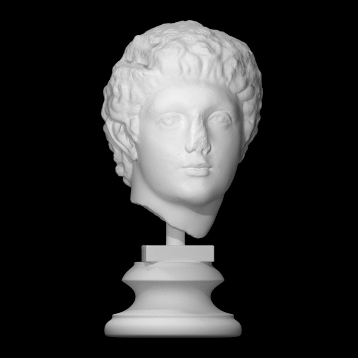 head young man scan face portrait sculpture marble 3D print model - Mito3D