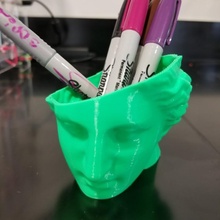 envasado Vênus jardim arte copo cara famoso cabeça Panela escultura louvre plantador remixar 3d print model - Mito3D