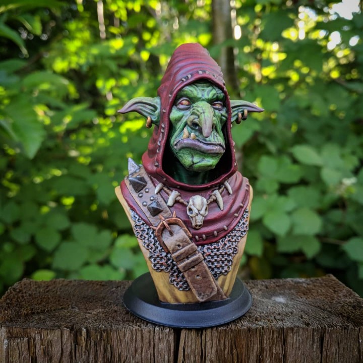 snaggle wise - goblin hero fan art bust fantasy orc miniature d&d 3D print model - Mito3D