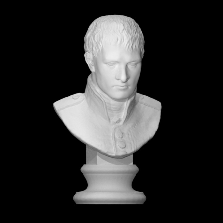 napoleão Bonaparte Varredura fracasso cara cabeça líder homem retrato 3D print model - Mito3D