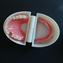 odontologia Odontologia jardim banheiro dentista dente Higiene 3d print model - Mito3D