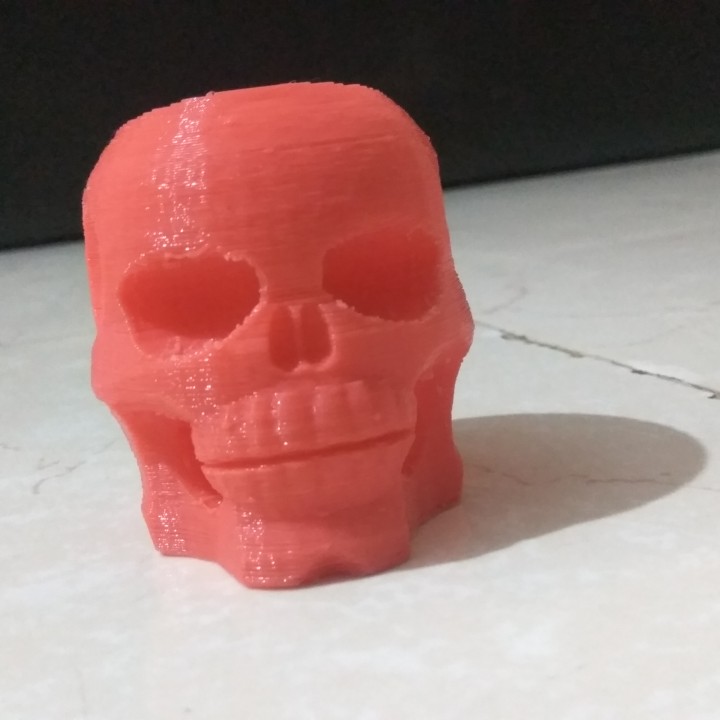 crânio caneta suporte jardim assustador ficar pé tabela tampo mesa tinkercad prima atharv 3D print model - Mito3D