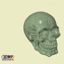 celtic skull hollow education lamp led lighting 3dscan scan skul 3d print model - Mito3D
