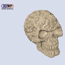 souls skull hollow education lamp led lighting 3dscan scan 3d print model - Mito3D