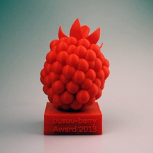 busuu berry award 2013 trofeo jardín premios 3d print model - Mito3D