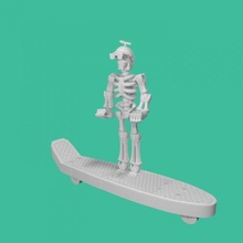 daring skateboarding laila tinkerfun fan art tinkercad 3d print model - Mito3D