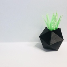 poly Pflanzer Garten geometrisch modern Kaktus Lowpoly Polyeder saftig polygonal 3d print model - Mito3D
