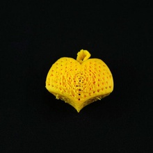 doted heart jewellery pendant dotedheart 3d print model - Mito3D