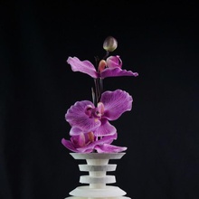 surfsculpt vase & garden decoration 3d print model - Mito3D