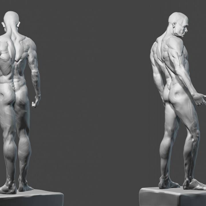 figure masculine l'étude 3D print model - Mito3D