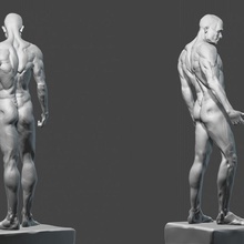 male figure study 3d print model - Mito3D