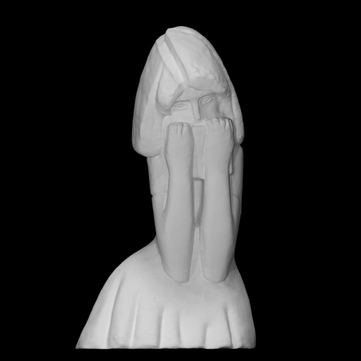 anne frank scan portrait red wood burganov 3D print model - Mito3D