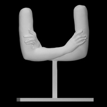 geste analyse art sculpture abstrait bras burganov plié 3d print model - Mito3D