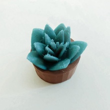saksı sulu aloe Bahçe Şirin dekorasyon heykelcik mini bitki kaktüs tinkercad 3d print model - Mito3D