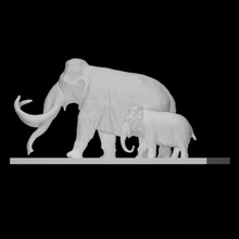 mamute Varredura animal elefante Rússia pré histórico lanoso peludo Archapark 3d print model - Mito3D