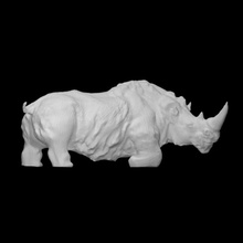 preistorico rinoceronte scansione animale peloso archeopark 3d print model - Mito3D