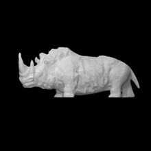 preistorico rinoceronte scansione animale peloso archeopark 3d print model - Mito3D