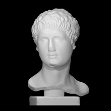 roman scan face head man portrait sculpture marble glyptotek 3d print model - Mito3D