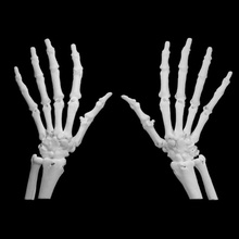 main os éducation 3d anatomie OS mains squelette structure médical squelettique 3d print model - Mito3D
