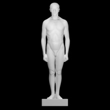 mesomorfo erna engel baiersdorf scansione anatomia corpo figura scultura maschio 3d print model - Mito3D
