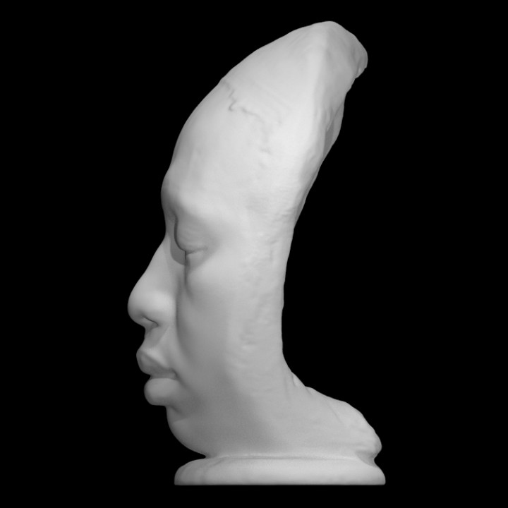 'maschio Madagascar' scansione gesso Madagascar life cast phan living specimen 3D print model - Mito3D