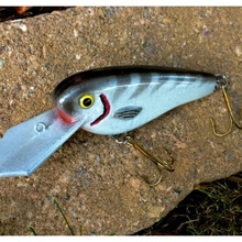 crankbait fishing lure sports & outdoor pole lures 3d print model - Mito3D