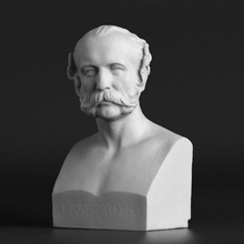 dr Juan rae escanear busto escultura yeso explorador Bigote john 3d print model - Mito3D