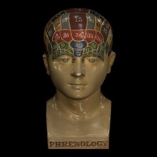 phrenological glazed head education anatomy bust science colour phrenology combe 3d print model - Mito3D