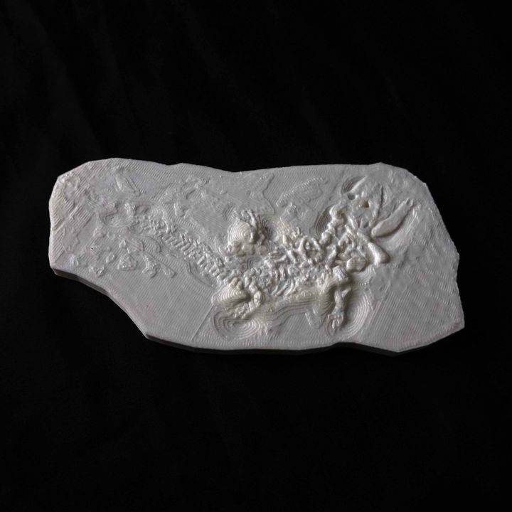 dinosaur fossil education bone bones dino jurassic stone rock jurassicworld 3D print model - Mito3D