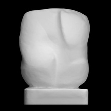 lichtleven scan sculpture abstract jan-dries 3d print model - Mito3D
