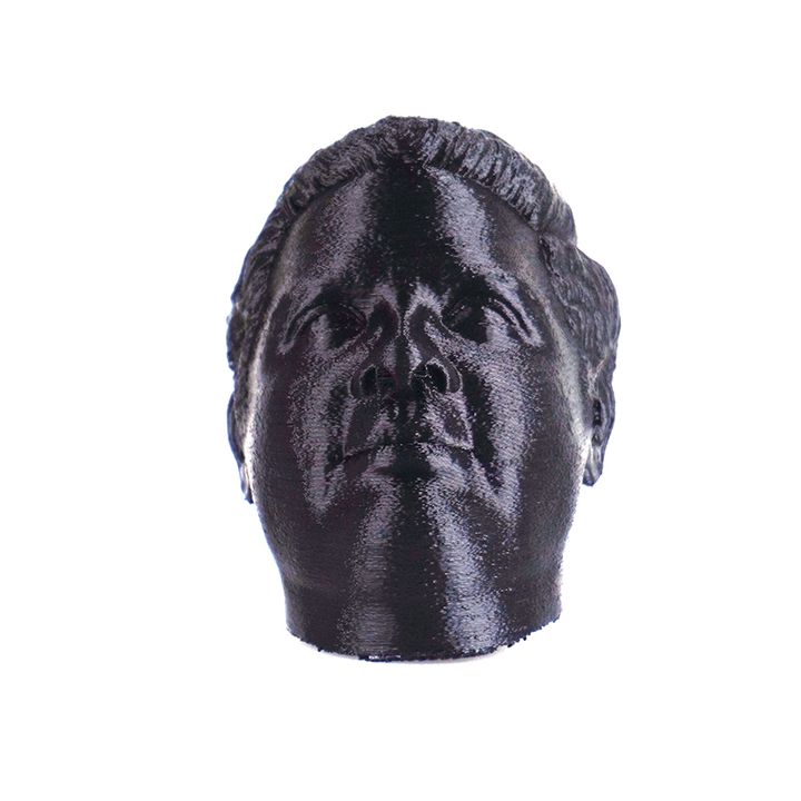 praveenface education bust face sculpture praveen 3D print model - Mito3D