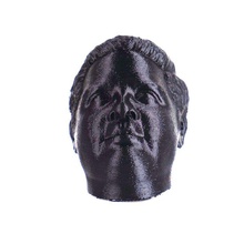 praveenface education bust face sculpture praveen 3d print model - Mito3D