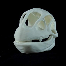 meganium pok cranio pokemon fan art ossa oro teschi erba poke pokeskull pokedex pokemongold regione johto 3d print model - Mito3D