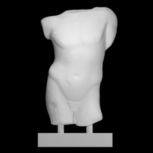 torso joven masculino escanear romano escultura 3d print model - Mito3D