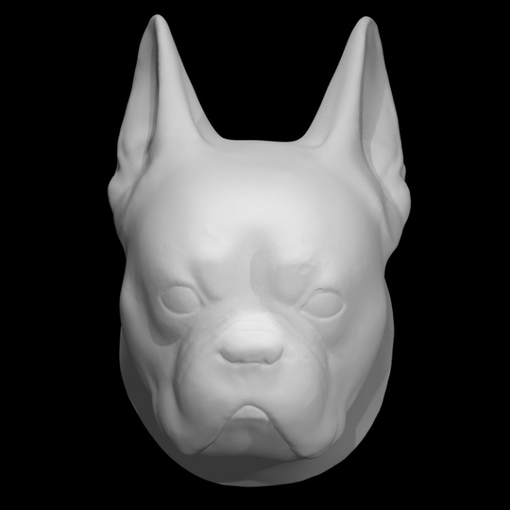 head bulldog scan dog sculpture french hilbert 3D print model - Mito3D